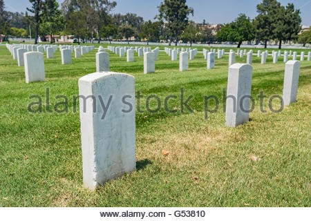 Headstone Mold New Caney TX 77357